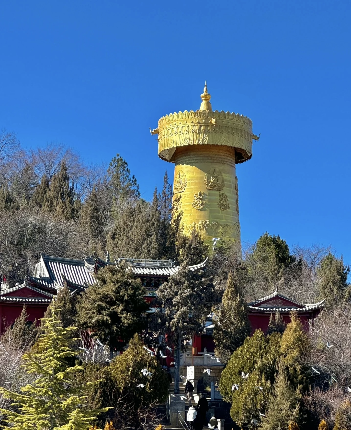 7-Day Classic Tibetan Culture Tour of Kunming, Dali, Lijiang, and Shangri-La in Yunnan