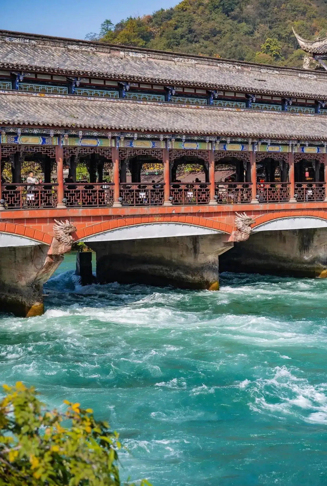 Mount Qingcheng and Dujiangyan Day Tour in Chengdu