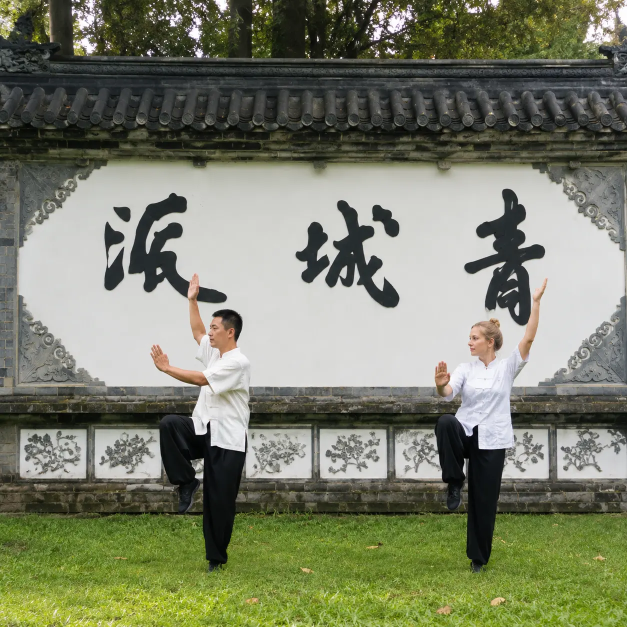 Qingcheng Mountain Martial Arts and Tai Chi Experience in Chengdu