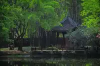 Bamboo Park (Wangjianglou)