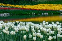 Qinling Botanical Garden